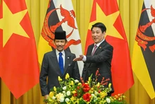 State President Luong Cuong (right) and Sultan of Brunei Haji Hassanal Bolkiah at the talks in Ha Noi on December 1 (Photo: NDO)