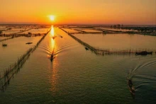 The Tam Giang–Cau Hai lagoon system in Hue is a perennial draw for visitors. (Photo: Le Hoang)