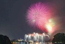 The fireworks display welcomes the new year 2026. (Photo: THE DAI)