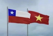 Viet Nam, Chile exchange congratulatory messages on 55 years of diplomatic relations