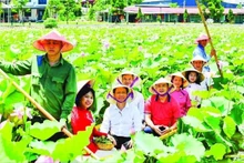 Representatives from travel agencies under the Ha Noi UNESCO Travel Club conduct a survey of a new tour in Hai Duong Province.