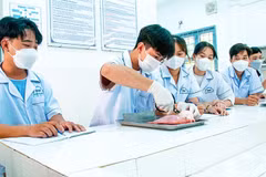 Students at Cuu Long University conduct a laboratory experiment. (Photo: VAN DO)