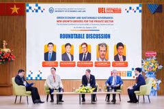 Experts discuss issues at the event. (Photo: UEL)