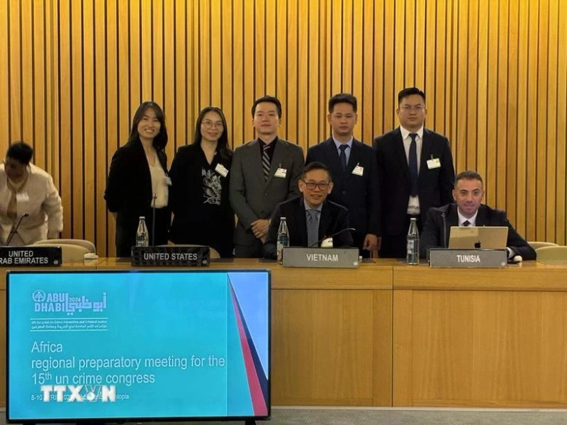 The Vietnamese delegation attends the African Regional Preparatory Meeting for the 15th UN Congress on Crime Prevention and Criminal Justice. (Photo: VNA)