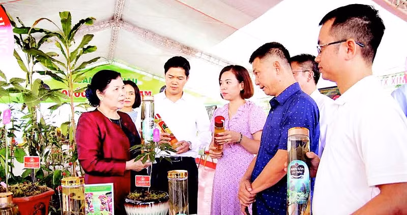 The leaders of Lai Chau Province survey economic development models in the locality. (Photo: nhandan.vn)