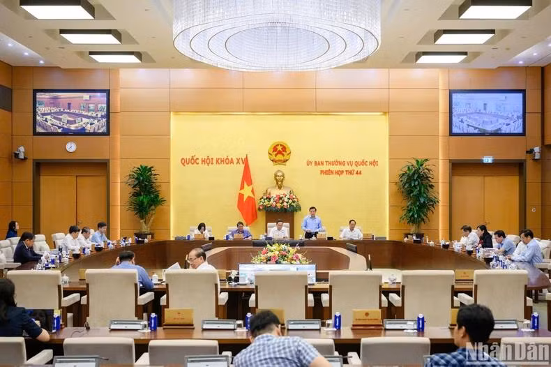 At the session (Photo: NDO)