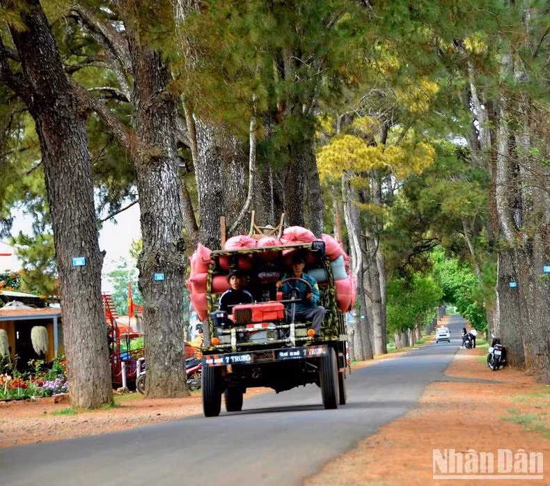 The rhythm of daily life. The rhythm of daily life.