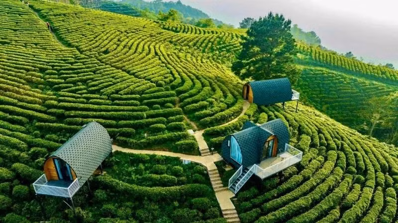 Kolia Ecotourism Area in Thanh Cong Commune, Nguyen Binh District, Cao Bang Province is a “green” and environmentally friendly destination. (Photo: HOANG NGOC)