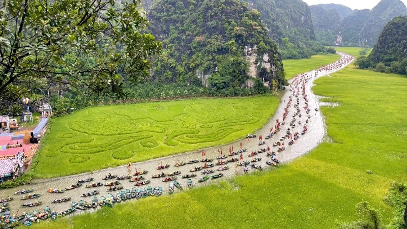 The rice fields of Tam Coc transformed into a rice artwork titled "Carp Leaping over the Dragon Gate".