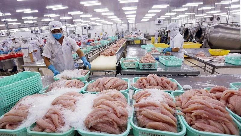The agricultural sector continues to build on positive momentum, advancing steadily towards the 65 billion USD export target.