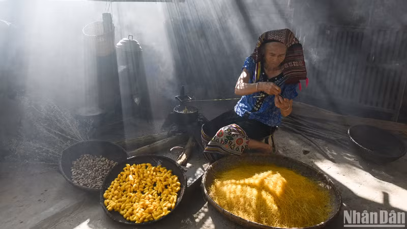 Mulberry cultivation and sericulture are age-old traditions in Hoa Tien. (Photo: VU LINH)