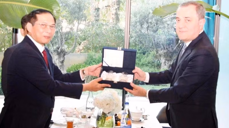 Vietnamese Deputy Prime Minister and Minister of Foreign Affairs Bui Thanh Son (left) and Azerbaijani Minister of Foreign Affairs Jeyhun Bayramov (Photo: nhandan.vn)