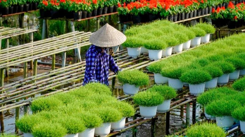 Illustrative photo: nhandan.vn