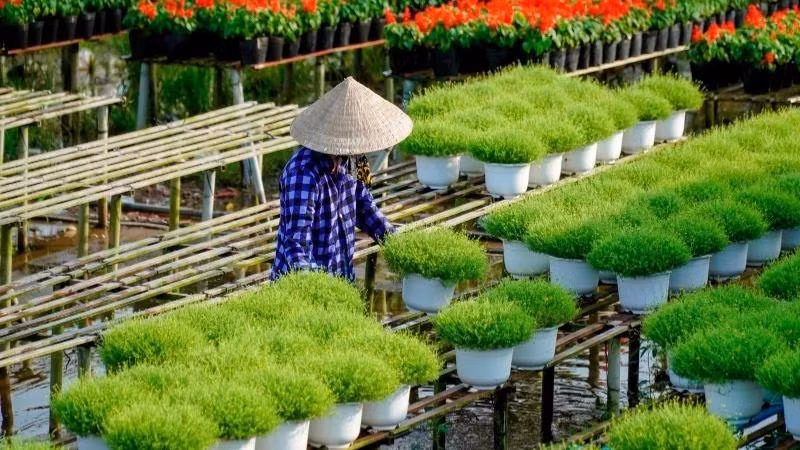 Illustrative photo: nhandan.vn