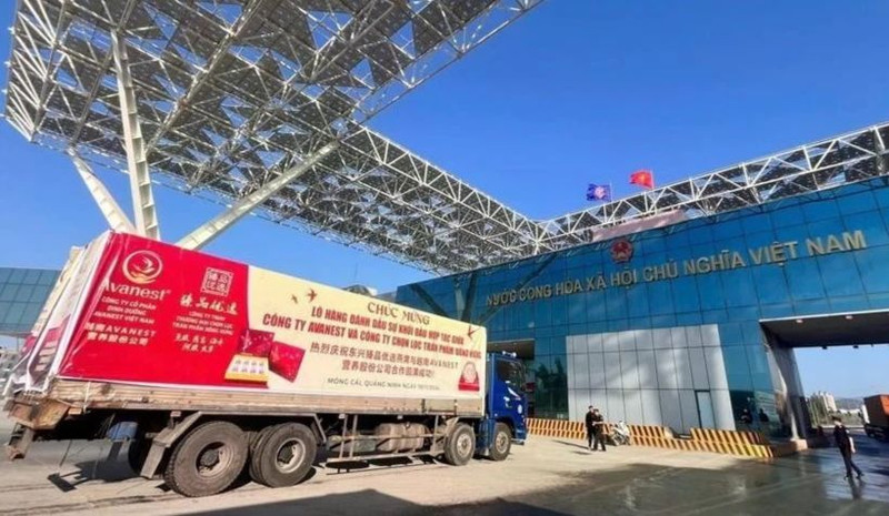 The first shipment of bird’s nests exported to China via Bac Luan II Bridge border gate in Mong Cai, Quang Ninh. (Photo: VNA)