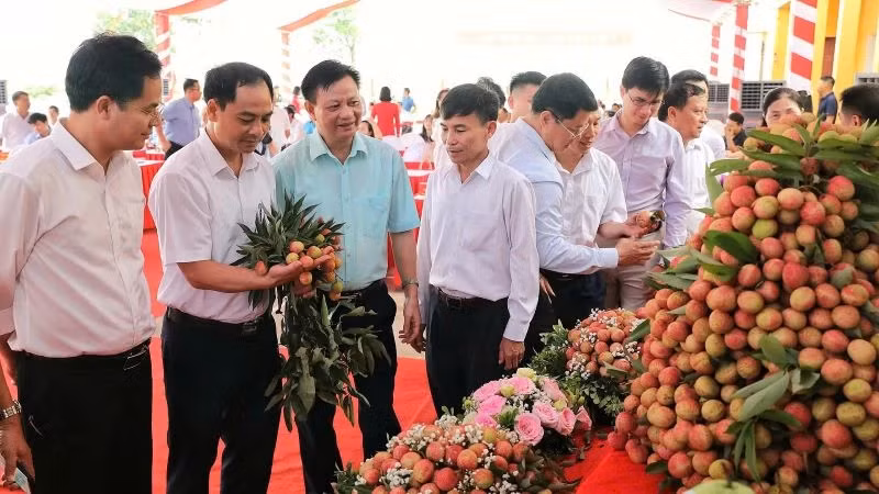 Delegates visit the exhibition booth showcasing early-ripening lychees from Tan Yen.