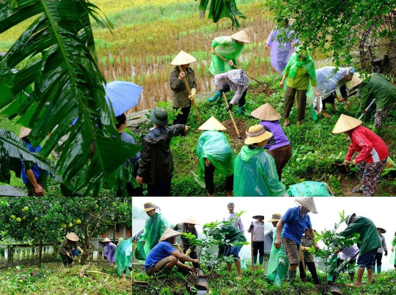 Phu Tho: Diverse models for environmental preservation and community ...