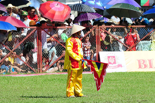 Buffalo fighting festival generates excitement among crowds in Hai Phong ảnh 4