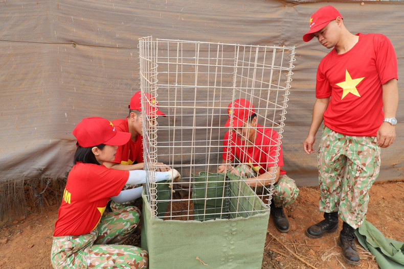 The programme includes activities of planting and taking care of trees, collecting waste in the unit, disinfecting, and killing mosquitoes and other harmful insects to prevent epidemics.