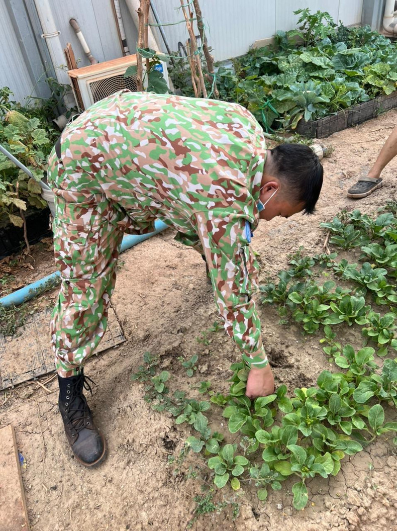 The soldiers grow clean green vegetables right in the land with severe weather.
