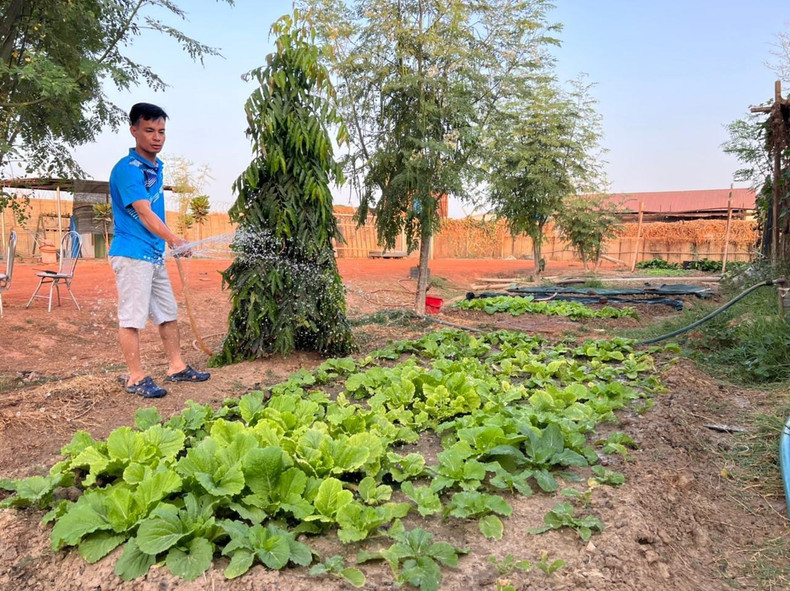 Green vegetables remind the image of the homeland.