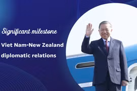 Significant milestone in Viet Nam-New Zealand diplomatic relations