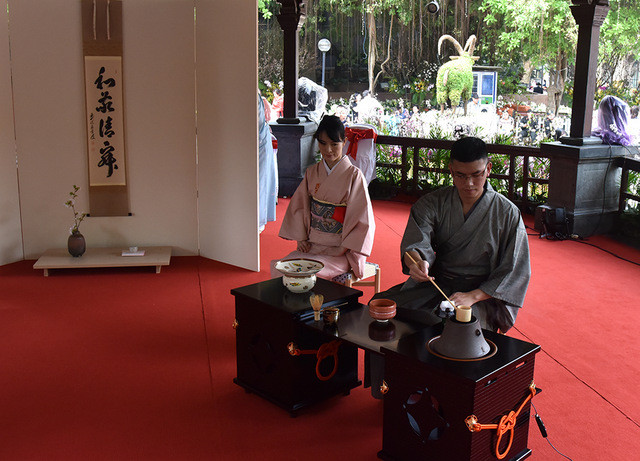 2019 Japanese cherry blossom festival opens in Hanoi ảnh 8