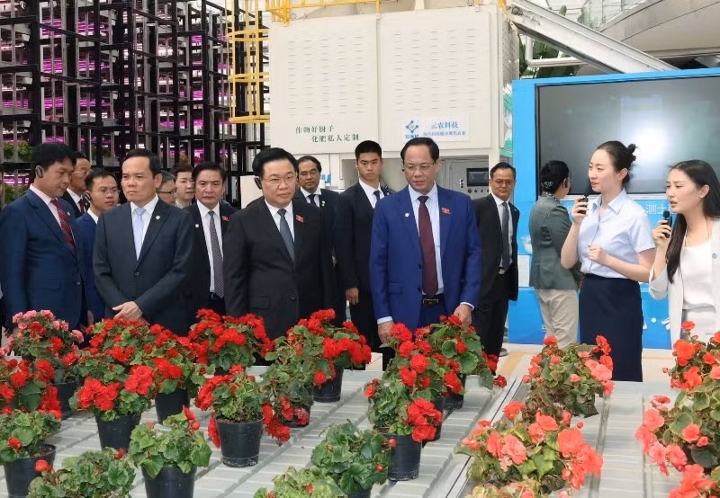 NA Chairman Vuong Dinh Hue and his entourage visit Yuntianhua Green Agricultural Innovation Service Centre (Photo: VNA)