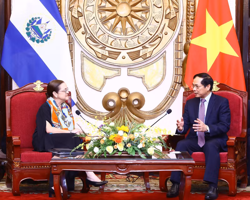 Minister of Foreign Affairs Bui Thanh Son (right) and his El Salvador counterpart Alexandra Hill Tinoco. (Photo: VNA) 