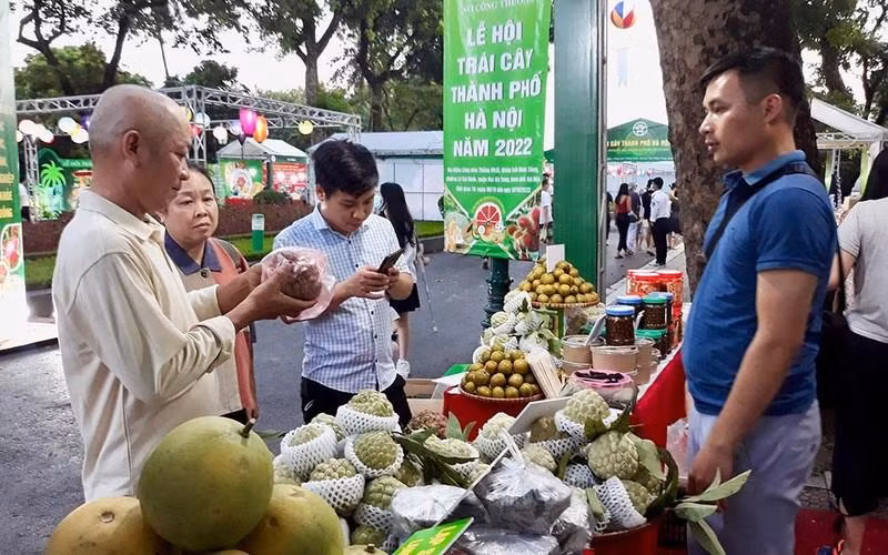 Fruits on display at the festival.