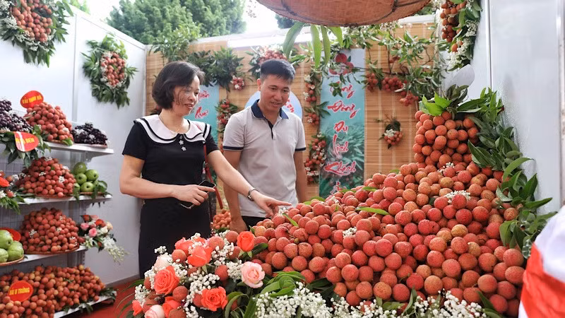 Lychees on display at the event.