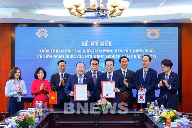 At the signing ceremony (Photo: VNA)