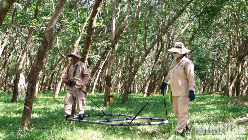 Mine clearance activity in Quang Binh.