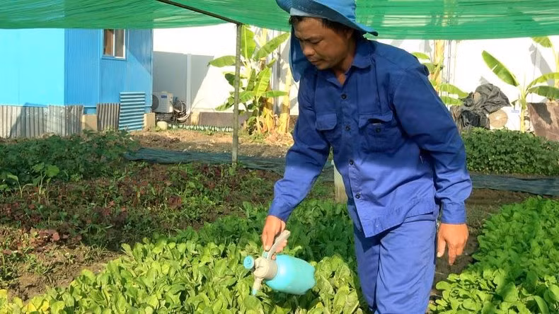 The Vietnamese military engineers create natural pesticides from ingredients such as orange peel, chillies, onions and garlic, ground and diluted to repel insects, protecting crops in an environmentally friendly manner.