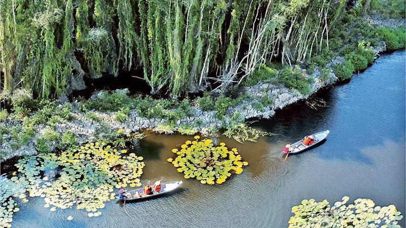 Tourists visit the paperbark forest in Dong Thap Muoi (Long An). (Photo: NGUYEN CONG TOAI)