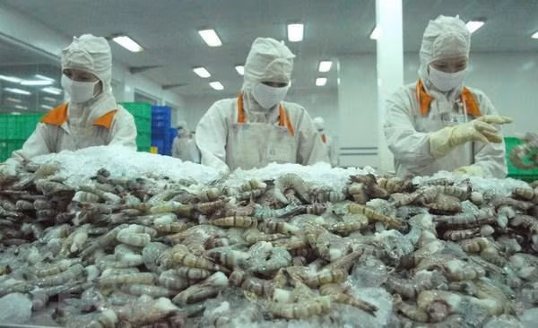 Agro-forestry-aquatic product exports rise over 13% in the first eight months of 2022. (Photo: VNA) 