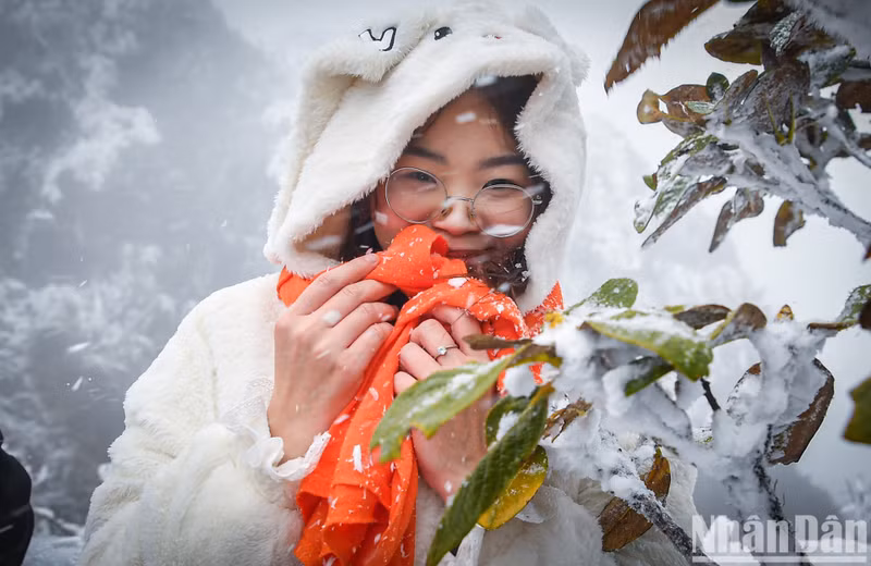Visitors pose for photos with snow and frost.