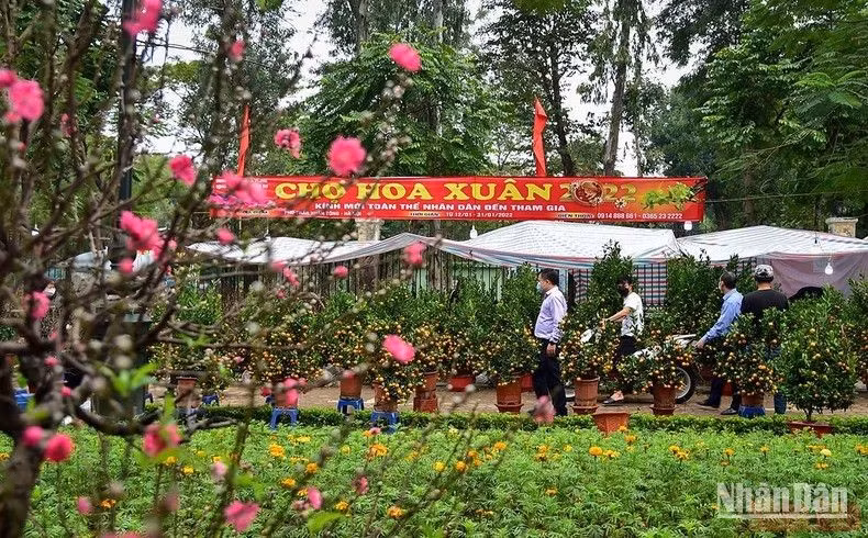 A spring flower market in Hanoi. (Photo: NDO/Thanh Dat)
