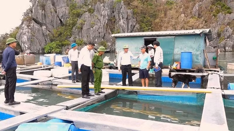 Van Don officials visit an aquaculture facility.