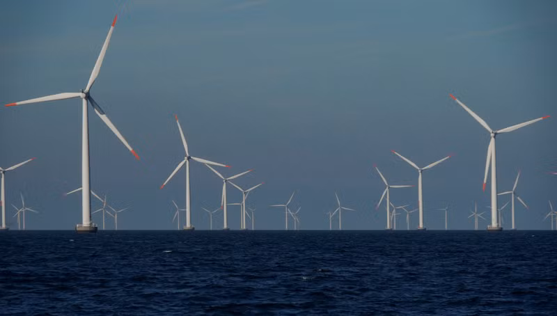 A view of the turbines at an offshore wind farm near Nysted, Denmark, September 4, 2023. (Photo: Reuters)