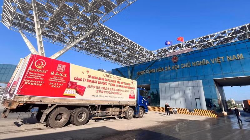 The first shipment of bird's nests exported through the Bac Luan II Bridge Border Gate in Quang Ninh Province. (Photo: VOV)