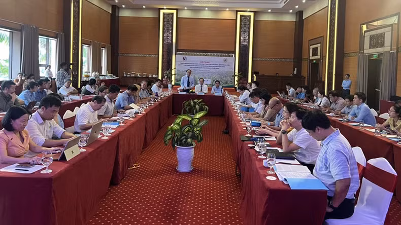 The delegates attend the workshop.