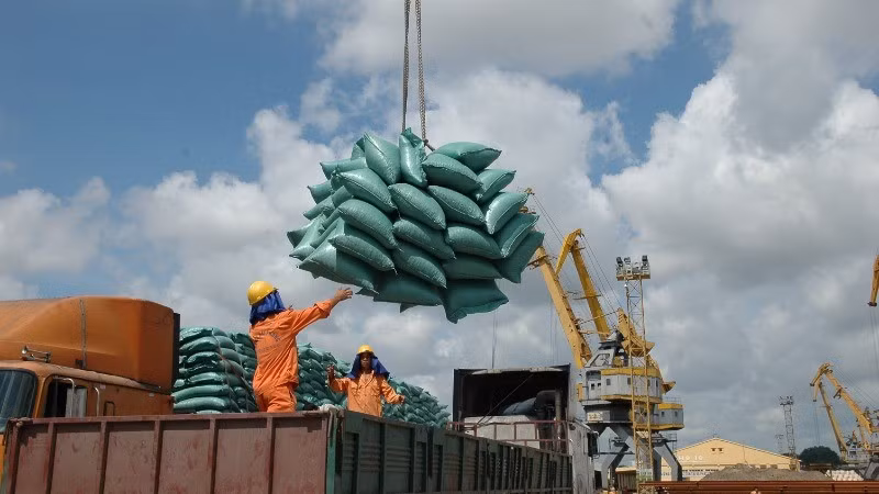 Rice exports to China have experienced a sharp decline.