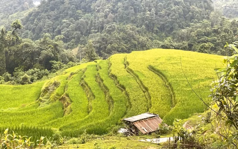 The majestic and beautiful landscapes of the northeastern region consistently attract tourists.