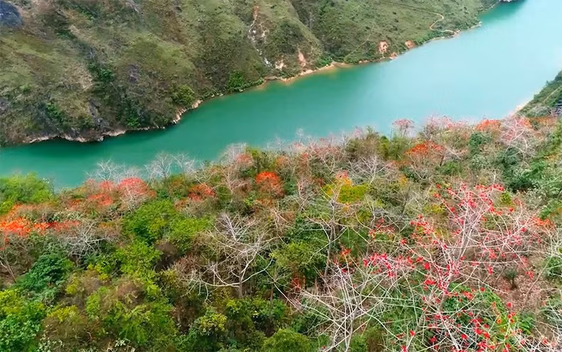 Nho Que River (in Ha Giang) during bombax flower season in the MV “Huong moc mien” (The fragrance of Bombax ceiba flower) by Vu Thang Loi.