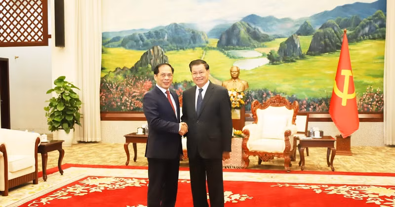 Party General Secretary and President of Laos Thongloun Sisoulith receives Deputy Prime Minister and Foreign Minister Bui Thanh Son (left) on December 17. (Photo: VNA) 