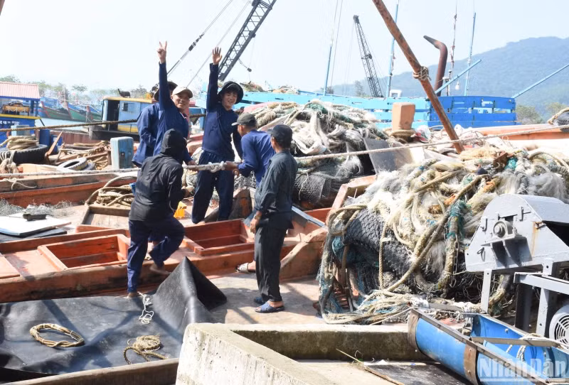 The fishing boats of fishermen in the central region left Da Nang port with the belief that they will catch a lot of seafood during the first fishing trip of the lunar new year.