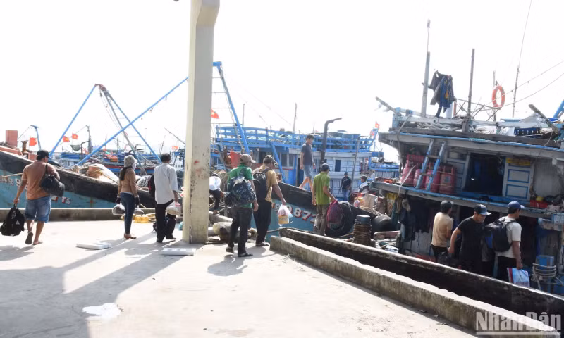 Many fishing boats of fishermen in Da Nang and the central region anchored and left the port for the first fishing trip of the year.