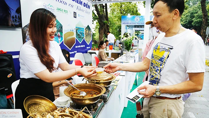 Vietnamese ginseng and products made from ginseng are introduced at a tourism fair. (Photo: Khieu Minh)