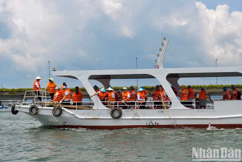 Vietnamese and EU delegates pick up trash on Ha Long Bay.